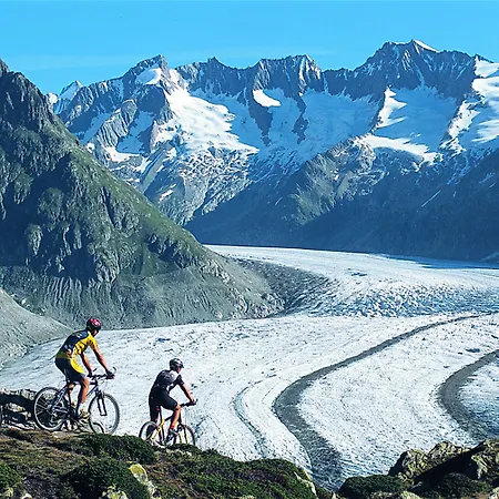 Serviced Wallis 住宿加早餐酒店 3*