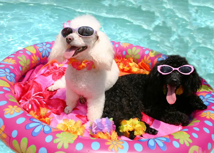 Serviced Apartments Wallis Morel